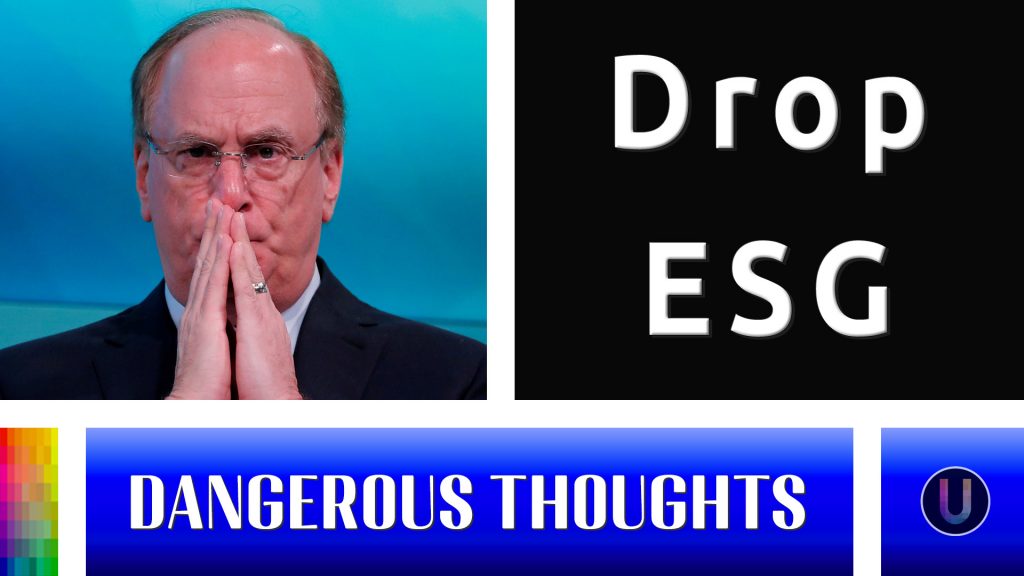 [Dangerous Thoughts] Drop ESG
